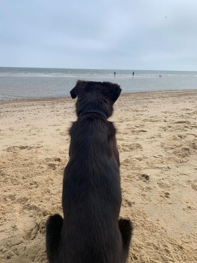 Norfolk Caravan Staycation Pet Friendly Belton with Browston Exteriér fotografie