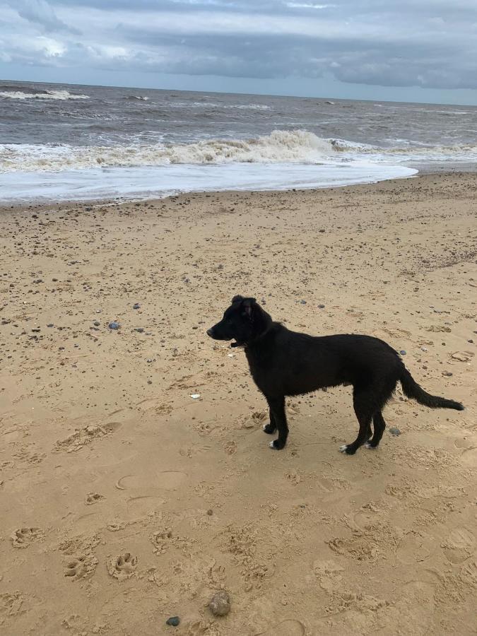 Norfolk Caravan Staycation Pet Friendly Belton with Browston Exteriér fotografie